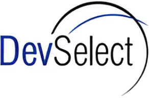 The image features the DevSelect logo with black and blue text, overlaid by black and blue curved lines.